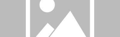 米兰主力中卫卖出高价，阿莱格里虽然极力挽留，但队员去意已决